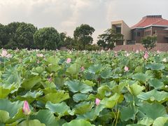 -滆湖低碳生态公园