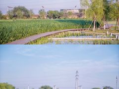 -永定河休闲森林公园