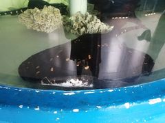 -泉州海丝野生动物世界