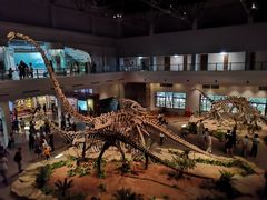 -自贡恐龙博物馆