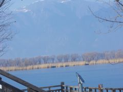 -野鸭湖国家湿地公园