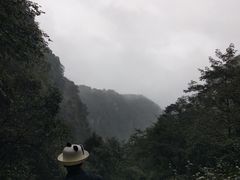 -碧峰峡风景区