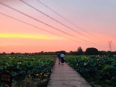 -梁鸿国家湿地公园