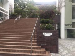 -香港大学