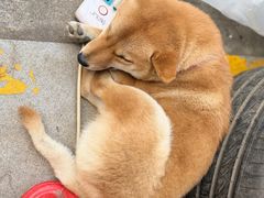 -细村农贸综合市场