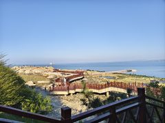 -养马岛旅游度假区