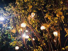 -Lam Vien Restaurant