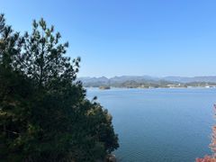 -浔味·山屿湖·正宗淳牌全鱼宴老字号