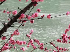 -望江楼公园