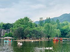 -西安秦岭野生动物园