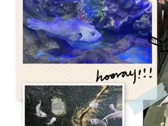 -太平洋海底世界