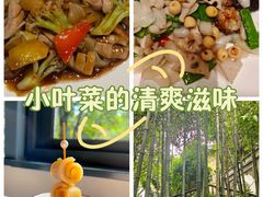 -宣和苑(华侨新村店)