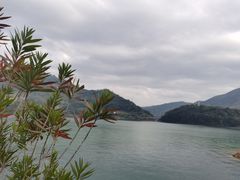 -广州市流溪河国家森林公园