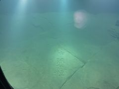-白鹤梁水下博物馆