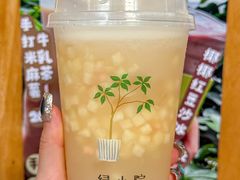 -绿小院(荔湾店)