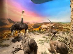 -国家自然博物馆