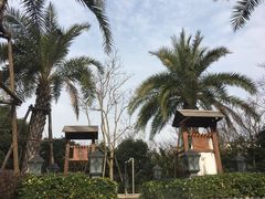-苏州湾王焰温泉度假酒店