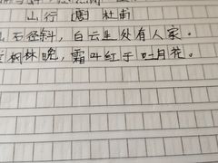 -必胜客(八一店)