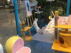 -BABIT巴比特宠物(MOMOPARK店)