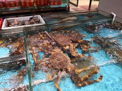 -德兴海鲜渔港(辉煌大厦店)