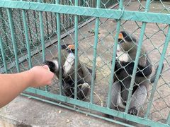 -秦皇岛野生动物园