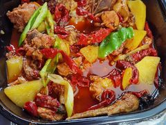 -巴依老爷新疆美食(望京小街店)