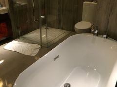 2015-10-24-常州环球恐龙城维景国际大酒店