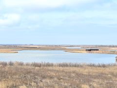 -盐城丹顶鹤湿地生态旅游区