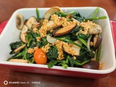 -haxnbauer海森堡德国餐厅(深圳coco店)