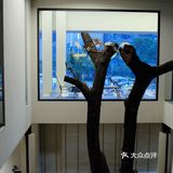 山见