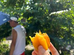 -西双版纳傣族园