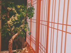 -文三酒肆自助放题(新街口友谊广场店)