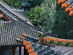 -碑林公园