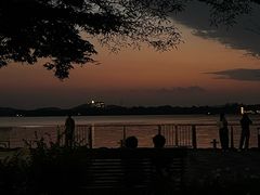 -长广溪湿地公园