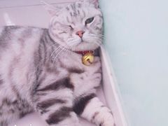-平行世界·猫咖(首经贸店)