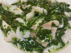 -白玉兰食品(汇联商厦店)