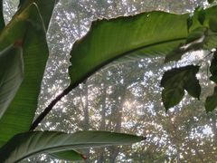 -大连铂尔曼酒店-铂尔曼美食廊 Pullman Deli