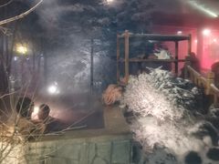 -汉拿山温泉度假酒店