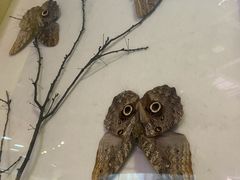 -陕西自然博物馆