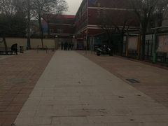 -金雁飞鸣双语幼儿园