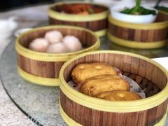 -金碧轩粤菜海鲜大酒楼