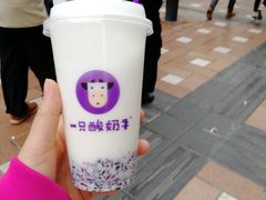 -一只酸奶牛(八一路店)