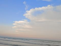 -日照海滨国家森林公园