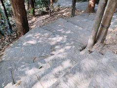 -水濂山森林公园
