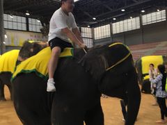 -东芭乐园