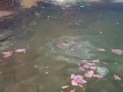 -泉城欧乐堡戏水湾艺术养生温泉