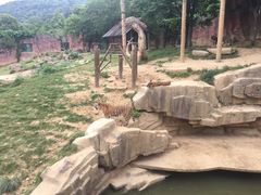 -无锡动物园·太湖欢乐园