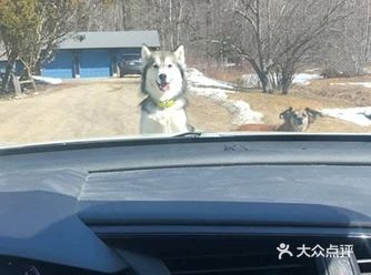 试图用眼神杀死网友二哈：说吧
