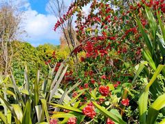 -昆明市金殿名胜区