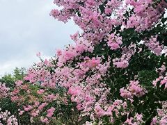 -杭州城北体育公园